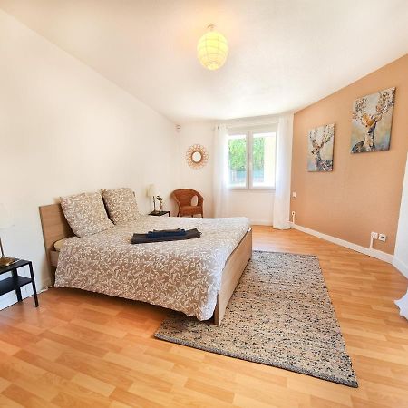 Le Zola - Appartement Spacieux - Grenoble Esterno foto